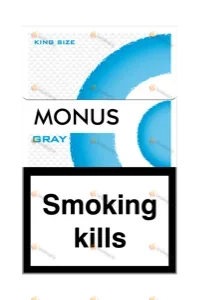 MONUS GRAY King size